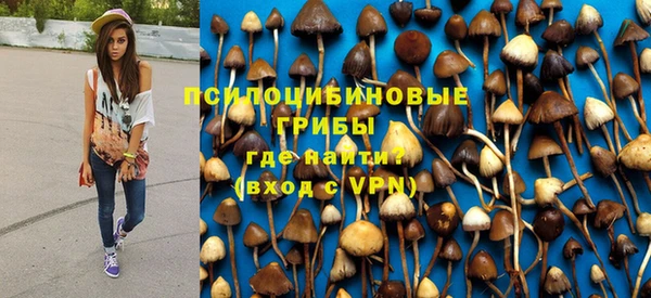 mix Богородицк