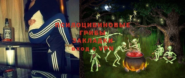 mix Богородицк