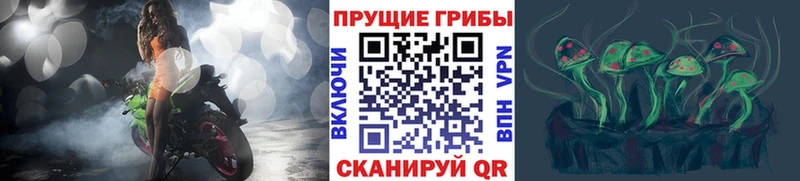 mega ONION  Коломна  Галлюциногенные грибы мицелий  купить наркотики сайты 