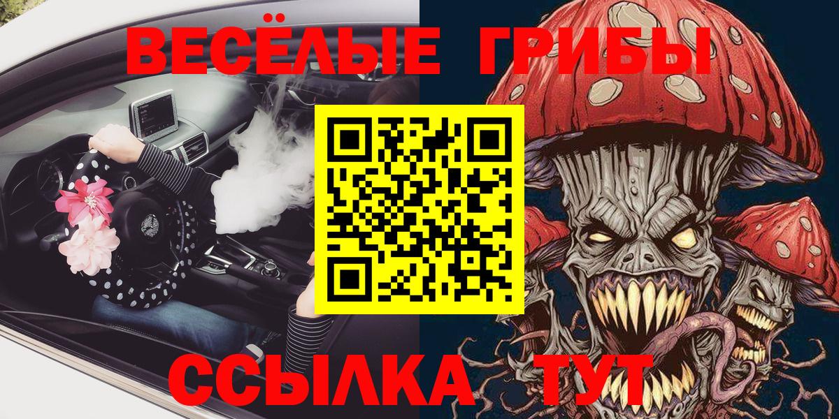 Галлюциногенные грибы Psilocybine cubensis Коломна