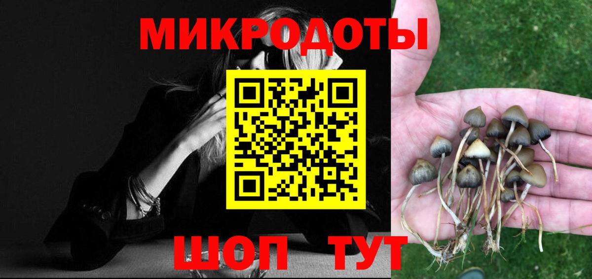 Коломна  Псилоцибиновые грибы Psilocybine cubensis  Вход с VPN  Галлюциногенные грибы MAGIC MUSHROOMS 